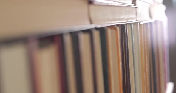 Many Books Organized in Shelves in a Big Bookstore