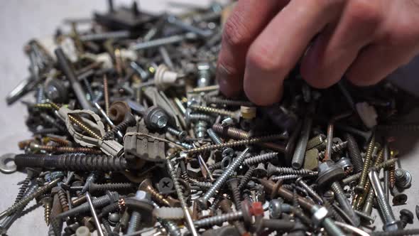 Hand Putting and Sorting Screws Nails Bolts and Washers on the Table