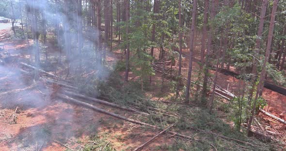 In Preparation for the Construction of New Houses a Tractor is Uprooting Trees and Deforestation