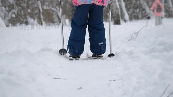 Little Girl Skiing with Mother in Winter Forest