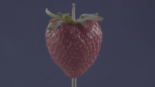 Strawberry Rotating with Loop on Blue Screen for Chroma Key