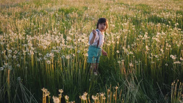 Portrait of a Child a Boy of Five Years Old Playing Dandelions Like Drums on a Field at Sunset