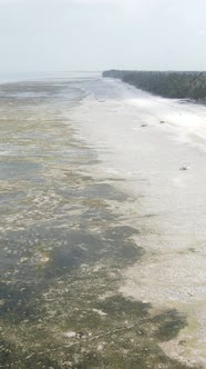 Tanzania  Vertical Video of Low Tide in the Ocean Near the Coast of Zanzibar Slow Motion