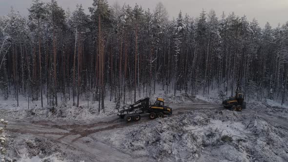 Forest harvester and forwarder drive into the winter forest 01