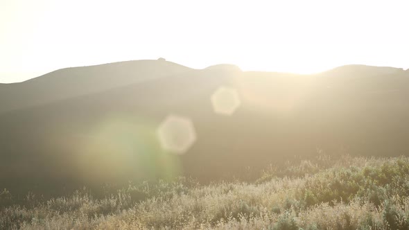 Sunset Over the Valley Fields alt