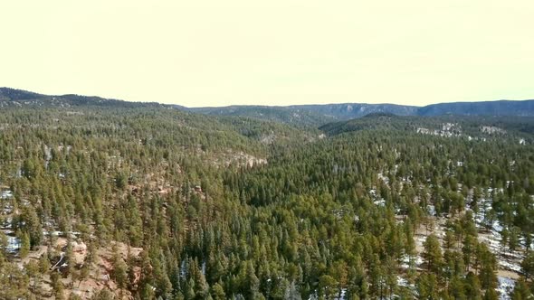 Aerial view of Pikes National Forest in the Winter