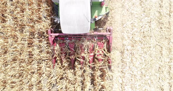 4k aerial top down view combine Harvester. Close up agment. Modern Combine Harvesting corn