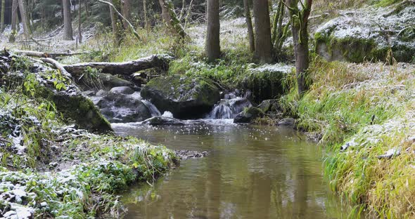 small mountain creek in a woodland