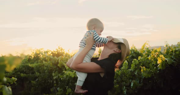 Young Woman Have Fun with Her Cute Little Baby Son in French Provence Vineyard During Summer Sunset