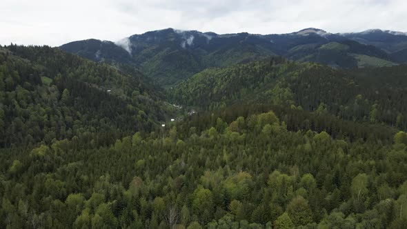 Ukraine, Carpathian Mountains: Beautiful Mountain Forest Landscape. Aerial