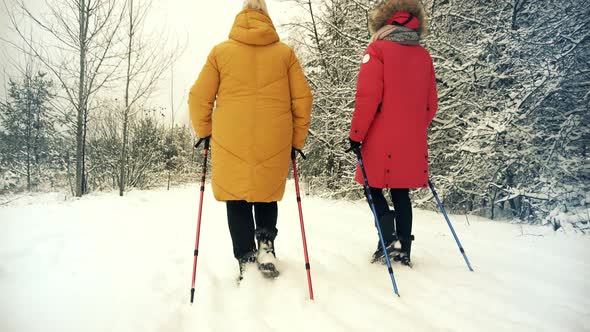 Sport Activities Healthy Lifestyle. Nordic Walking With Trekking Sticks. Winter Adventure Hiking.