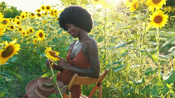 Farmers in a beautiful sunflower field