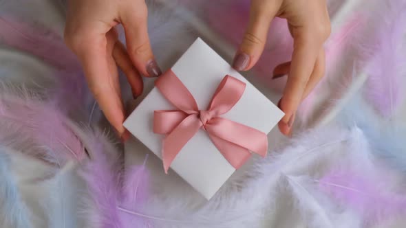 Female Hands Giving and Taking White Gift Box with Pink Ribbon