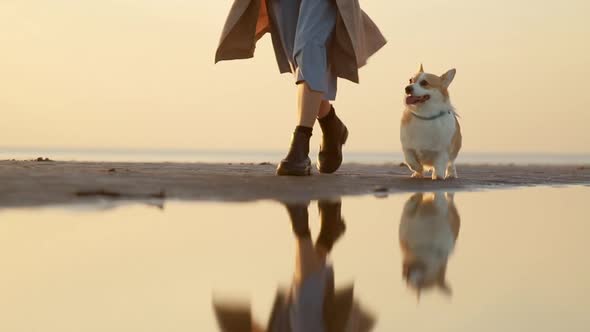 Woman and Pet Walk Along Sea Beach During Outdoor Evening Sunset Spbi