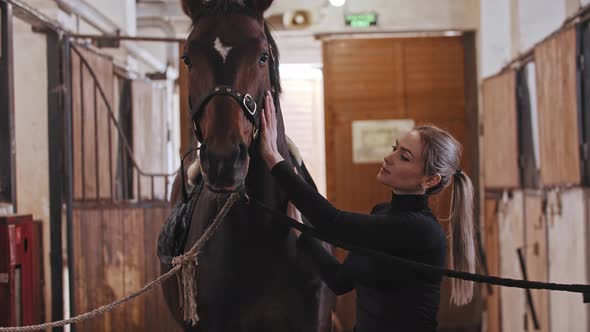 Woman with High Ponytail Petting a Horse on a Leash