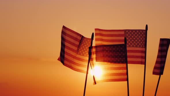 American Flags in the Rays of the Setting Sun