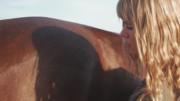 Woman Washes Horse with Wet Cloth Cleaning and Preparing for Horseback Riding Taking Care of Animals