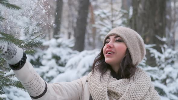 Happy Young Woman in Winter Park Hand Knocks Snow From a Christmas Tree and Laughs