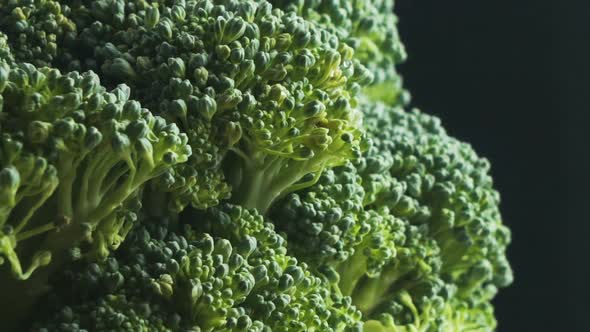 Rotating Broccoli On Black Background. Close up and slow motion