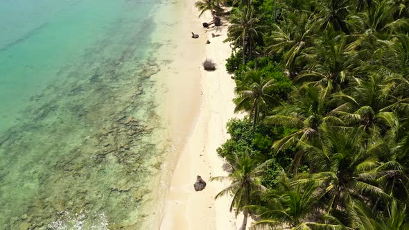 Wild White Sand Beach with Coconut Trees, Caramoan Islands, Philippines