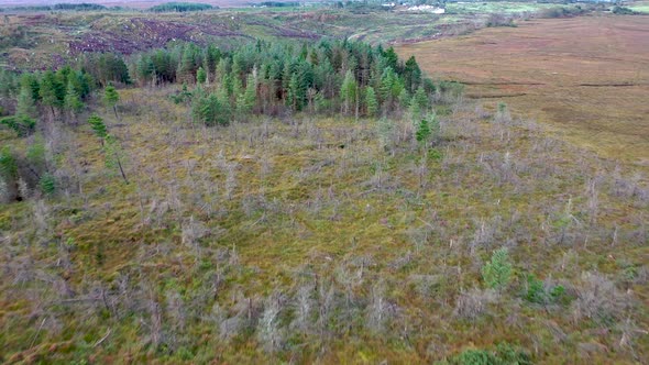 Flying Over Forest in County Donegal - Ireland.