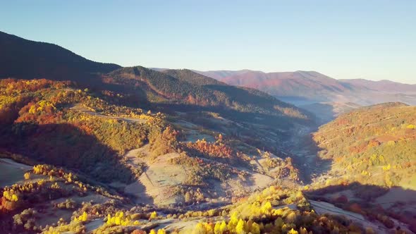 The Mountain Forest on the Background of the Sunset