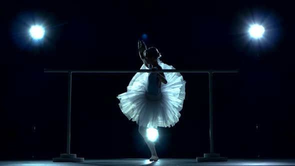 Beautiful Young Ballerina Dancer, Blue Background