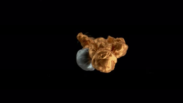 Ink rising in water against black background. Slow Motion.