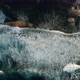 Sea Waves From Above - VideoHive Item for Sale