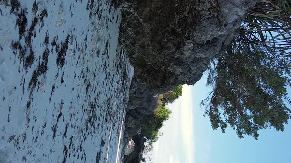 Vertical Video Empty Beach on Zanzibar Island Tanzania Aerial View