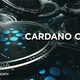 Falling Cardano Coins Background - VideoHive Item for Sale