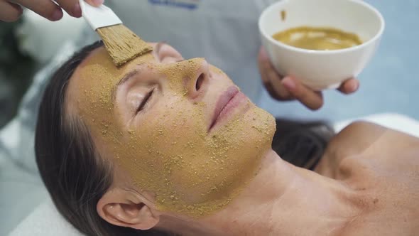 Professional Lady Applying Mask on Woman Face with Brush