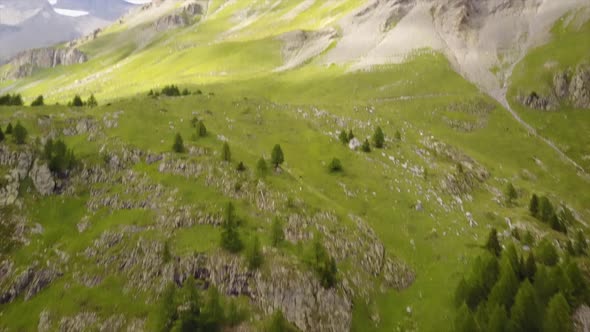 View of a plain in the swiss alps, fir forest and rocky mountains. aerial drone shot