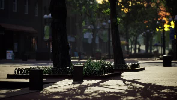 Lockdown Coronavirus Covid19 Empty Streets alt