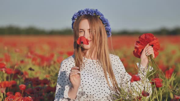 Ukrainian Girl Collecting and Smelling a Bouquet of Poppies in a Field of Poppies