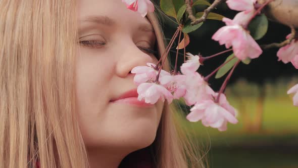 Closeup Shot of Attractive Girl Sniffs Pink Blossoms Woman Enjoys Smell of Blossoming Cherry Flower