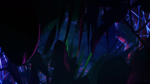 VJ Loops Abstract Background  Night Neon Jungle