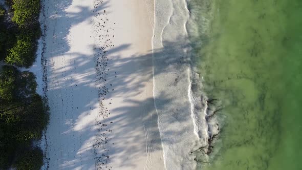 Zanzibar Tanzania  Vertical Video of the Ocean Near the Coast Slow Motion