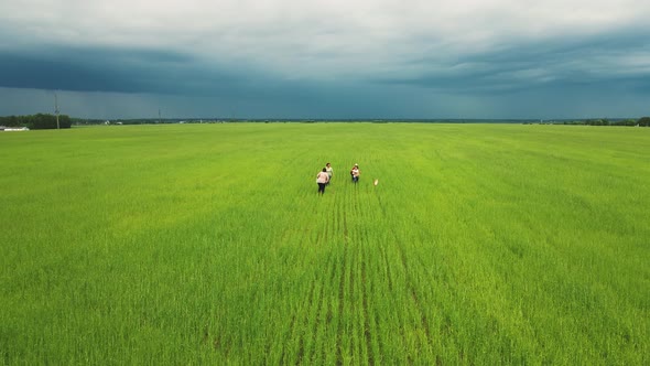 A Happy Family Runs Along the Green Field