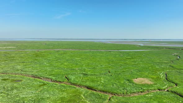 Aerial shot of bright green wetlands with grass, bushes and small rivers leading into the sea, under