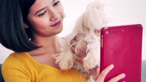 Young woman using tablet on sofa at home with her Maltese dog.