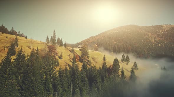 Sunny Autumn Mountainous Landscape Aerial View