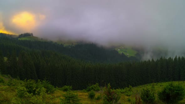 The Mountain Forest on Background of Sunset