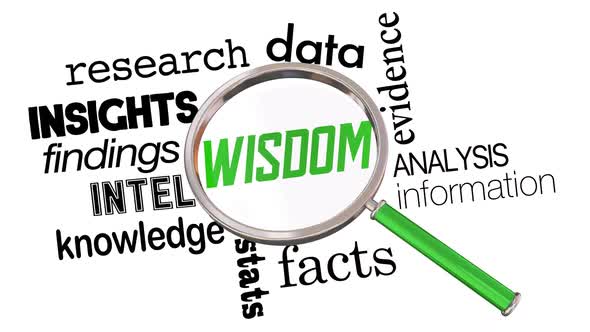 Wisdom Knowledge Facts Research Information Magnifying Glass 3d Animation
