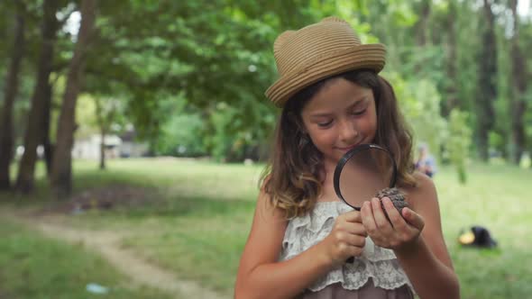 Curious little girl in dress coming to pine cone, take it and looks it through a magnifier