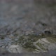 Rain Dripping On Stones - VideoHive Item for Sale
