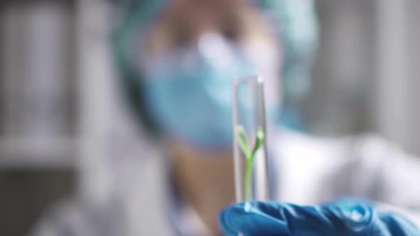 Laboratory Experiments Doctor Science Laboratory Assistant Conducts An Experiment Holding