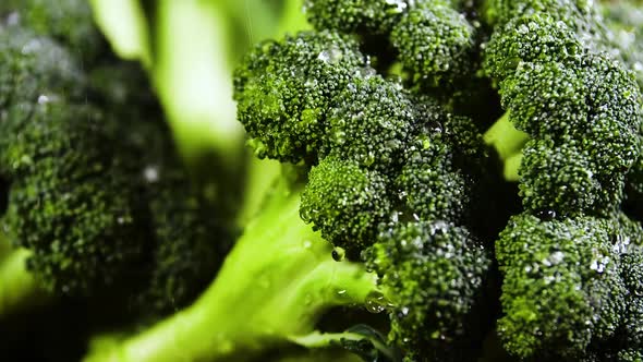 Broccoli With Drops of Water, Beautiful Video, Raw Organic Food , Organic Harvest in Garden, Farming