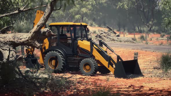 Excavator Tractor in Bush Forest