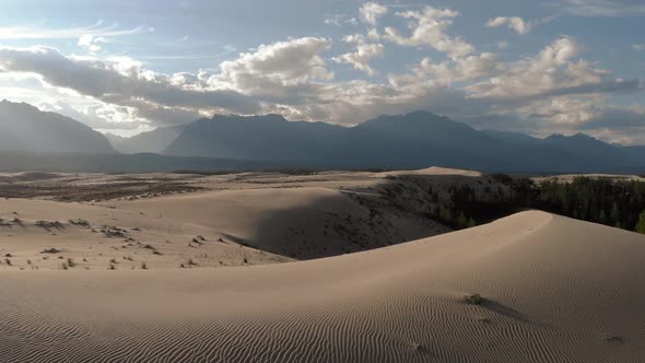 Unique Desert Sands Chara